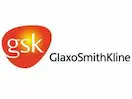 GSK India Ltd
